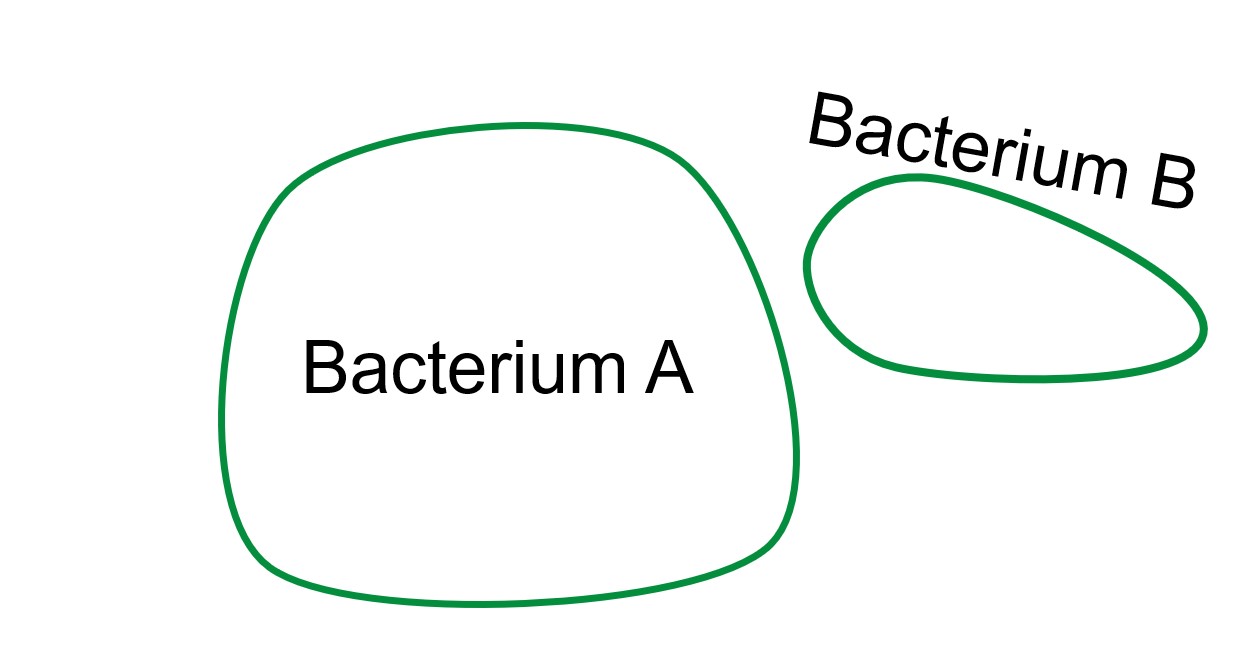 How Did The Nucleus Come To Be Enveloped In A Double Membrane Mark S